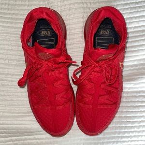 Nike Titan X Lebron 17 low